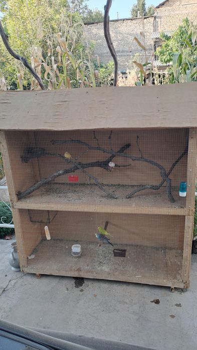 Категини узи сотилади