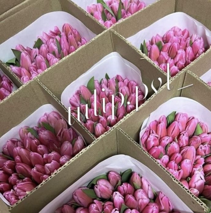 Тюльпаны Павлодар к 8 марта