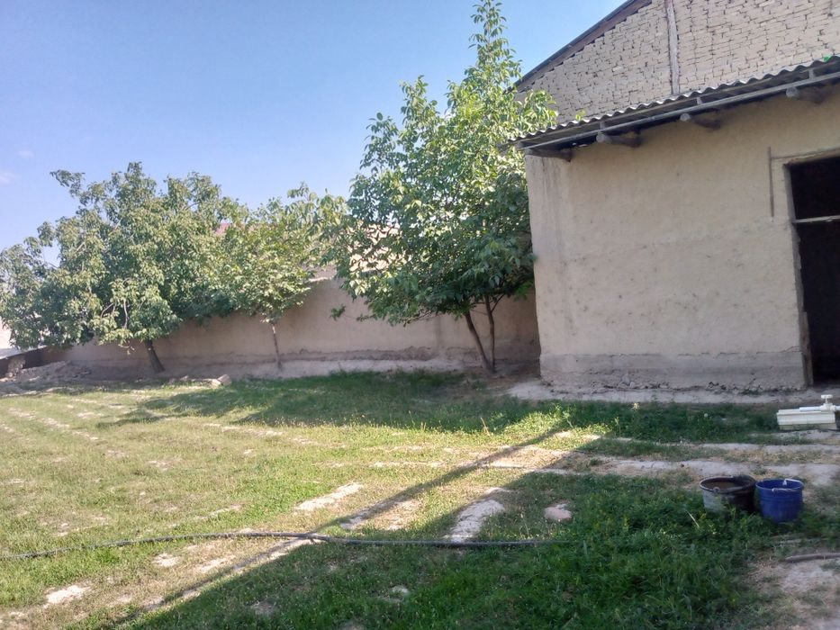 Срочно и Недорого