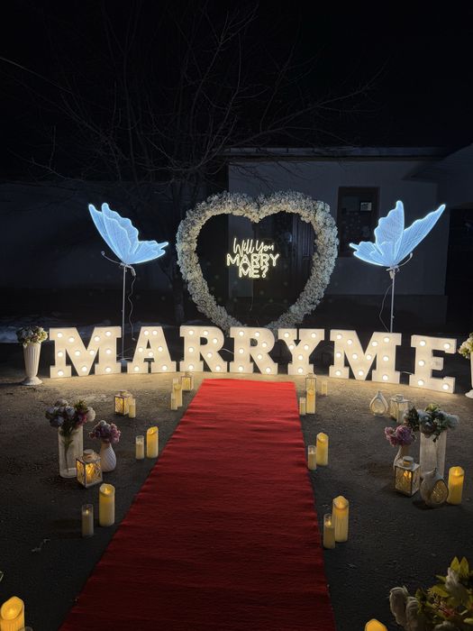 Предложение руки , сөз салу, Marry me