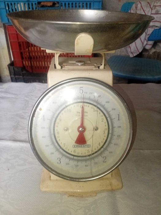 Немска Везна ERNESTO EKWR 5 A1
