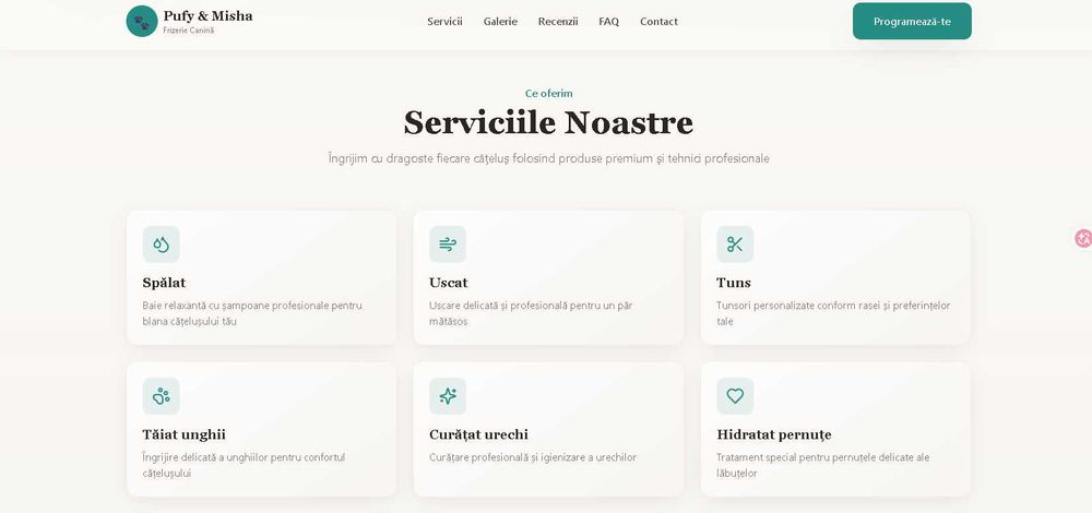 WebSite Pentru Afacerea Ta