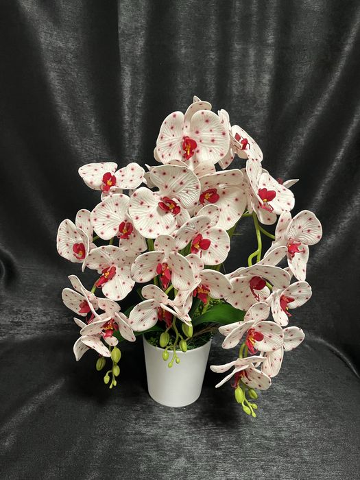 Aranjament orhidee premium