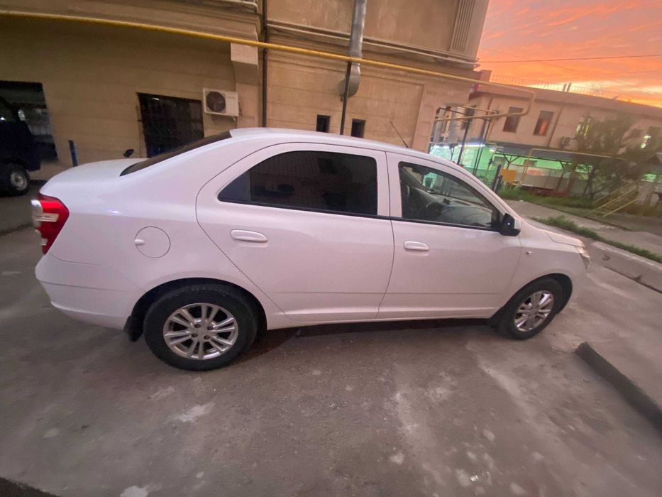 Other Cobalt 2023 — 8