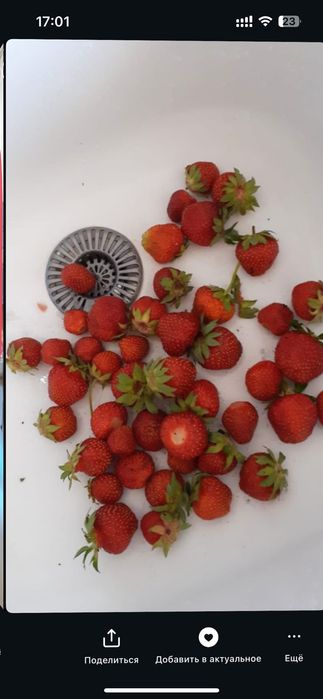 Дача с участком в хорошем районе