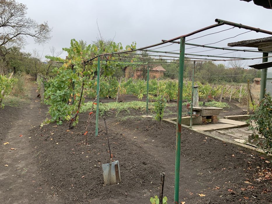 Продава се Къща в с. Попица, Област Враца - 2100 кв.м за 4 €/кв.м - Снимка #3