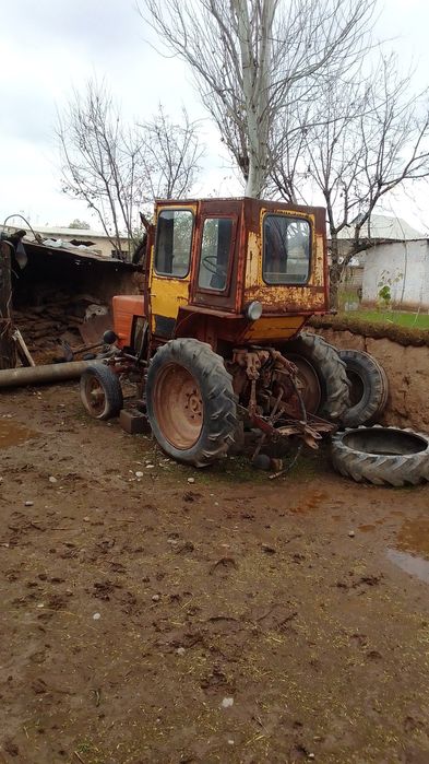 T-25 Pat pat sotiladi