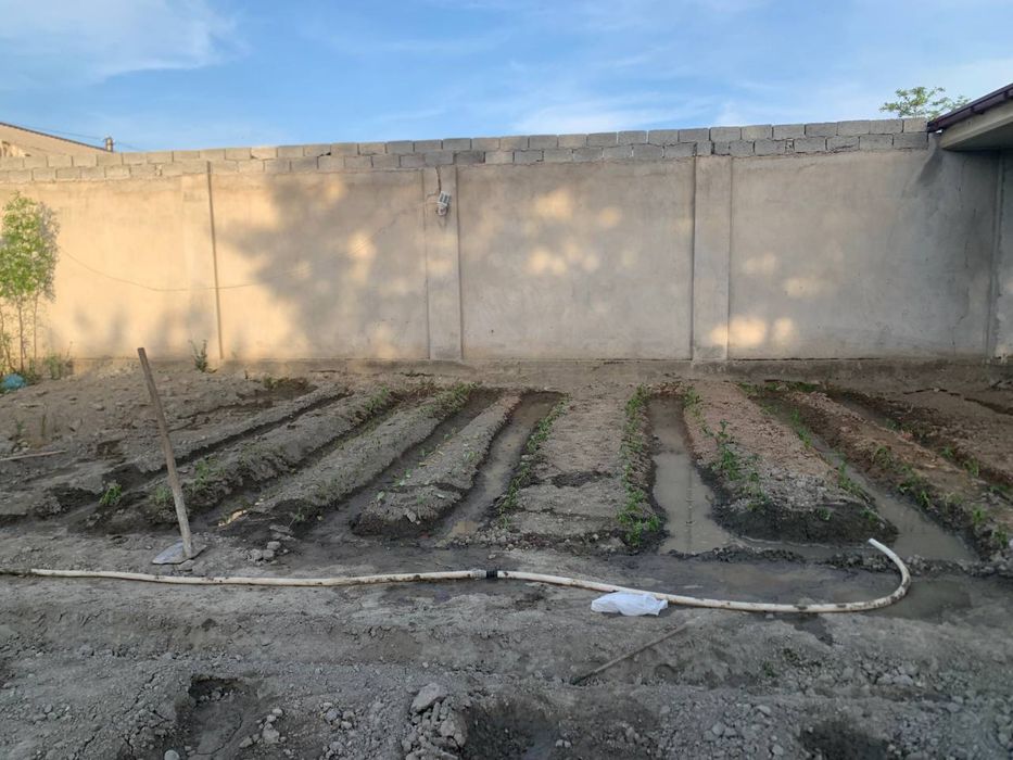 Очень срочно продается трёхкомнатная дом с участком