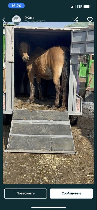 Доставка доставка