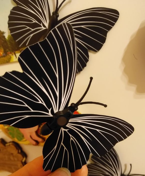 Декоративные бабочки