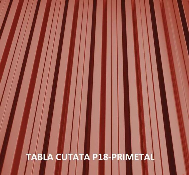 Tabla cutata vopsita gard - direct de la producator - livrare