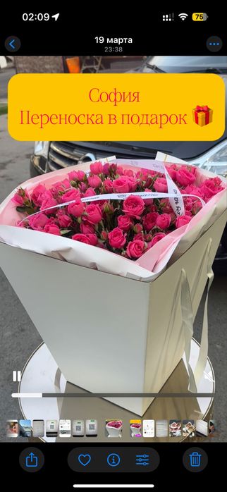 Букеты с переноской