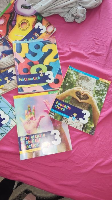 Lot manuale  clasa a 3a editura litera