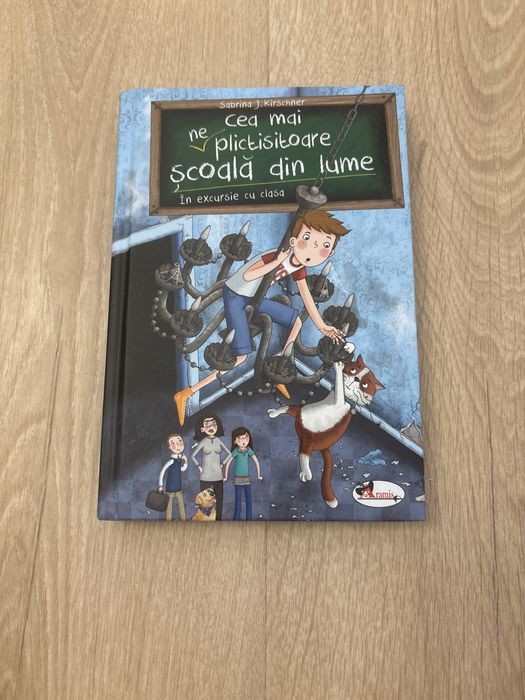 Cea mai ne plictisitoare scoala din lume ( in excursie cu clasa)