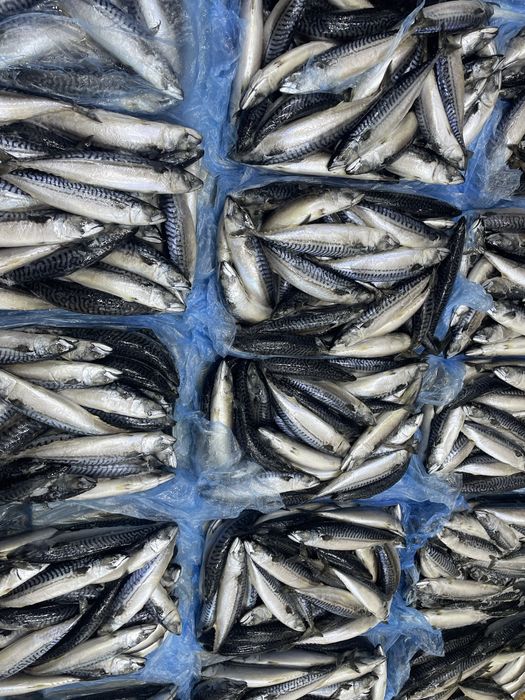 Копченная скумбрия