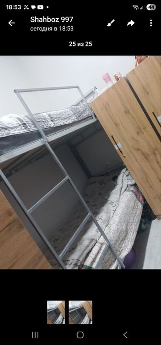 Ijaraga talabalar ayollarga arintir pavarot ped kolij