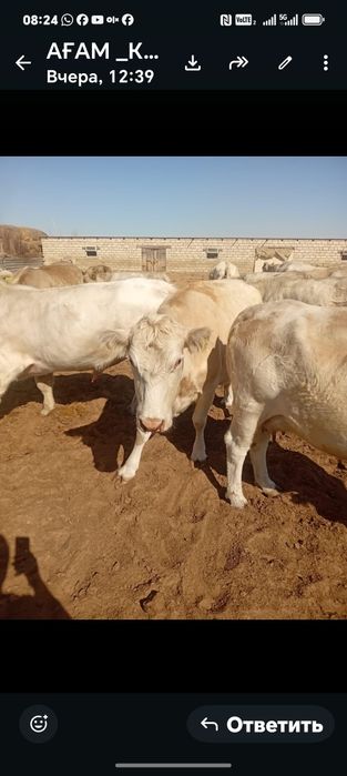 Жеке қожалық Атырау