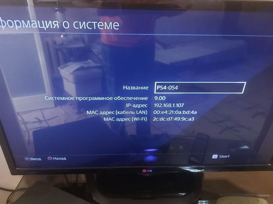 Ps4 с двумя джостиками