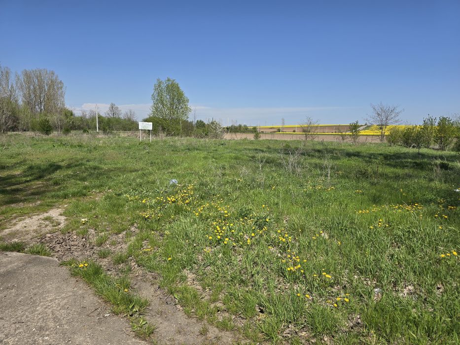 Teren de închiriat – 2.500 mp, deschidere 50 m, curent trifazic – DJ 5