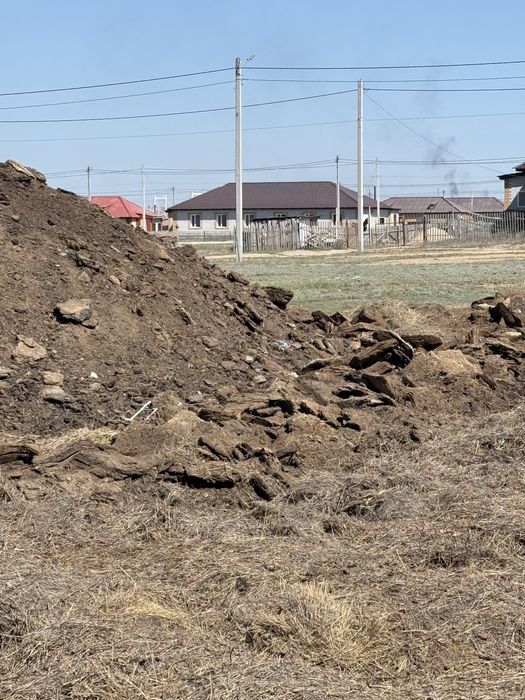 Бесплатный навоз