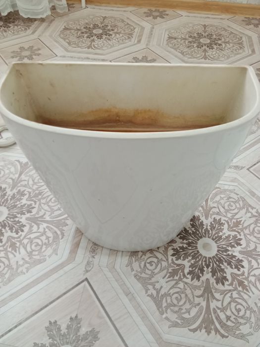 Крышка  унитаз   бачок  унитаза