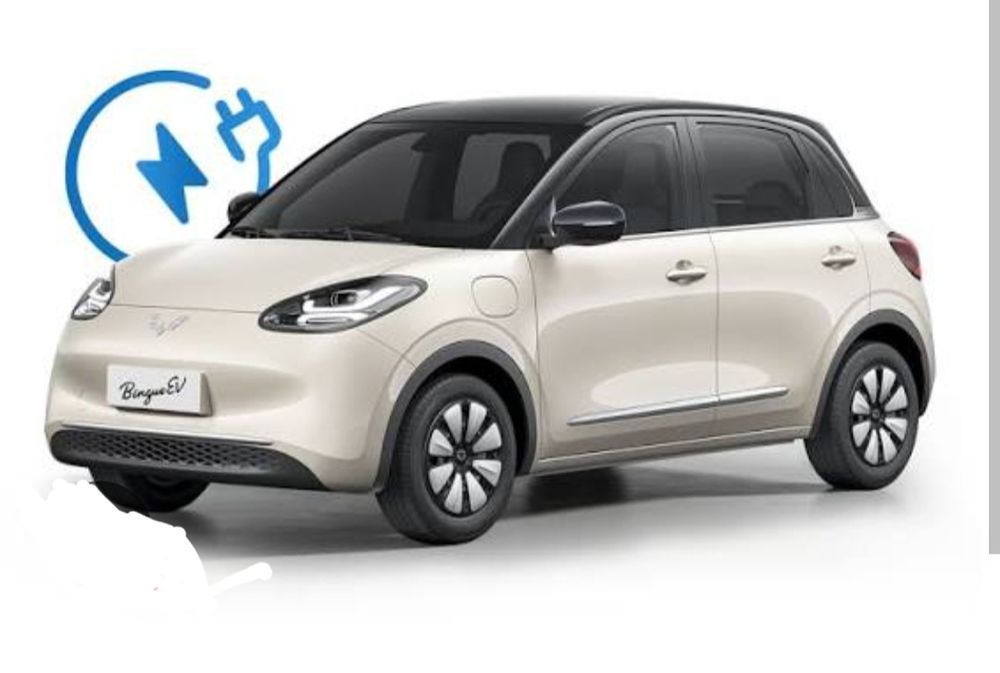 Продаю свою Vuling bingo