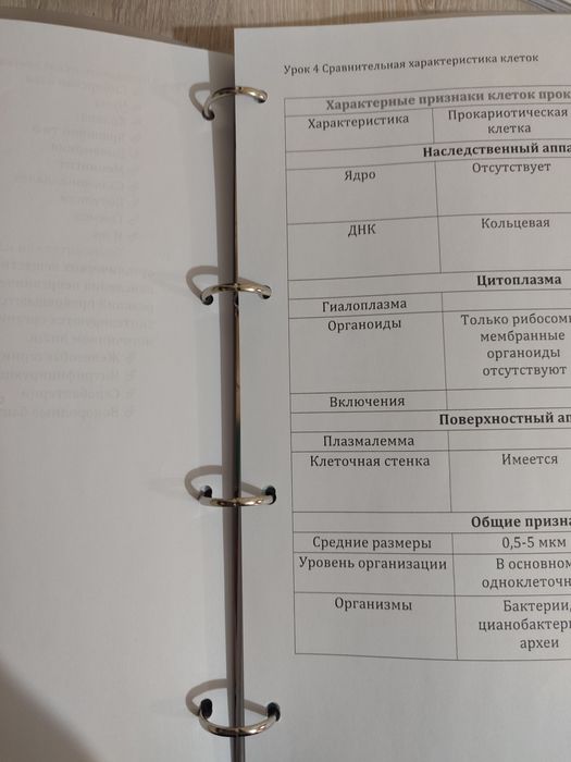 Файл, блокнот и тд. Множество назначений