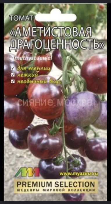 Рассада овощей томаты огурцы