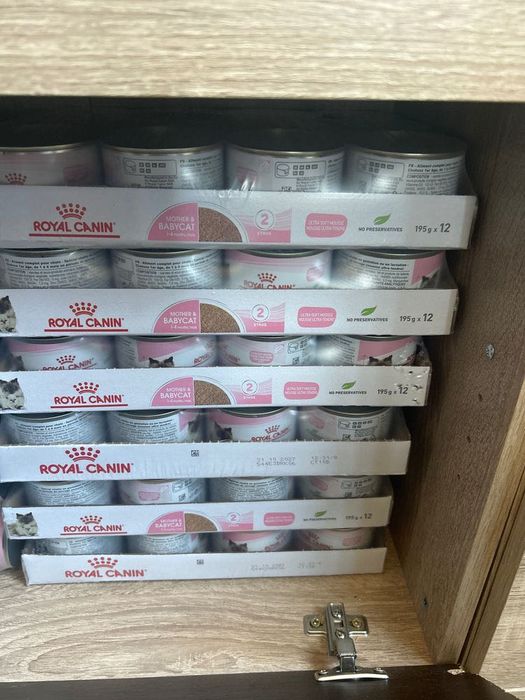 Conserva mousse Royal canin mother & baby