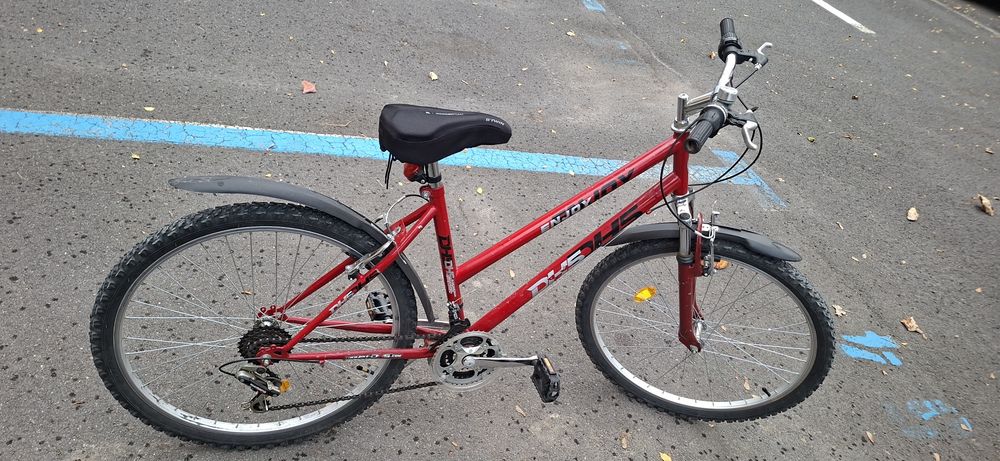 Bicicleta Dhs dama