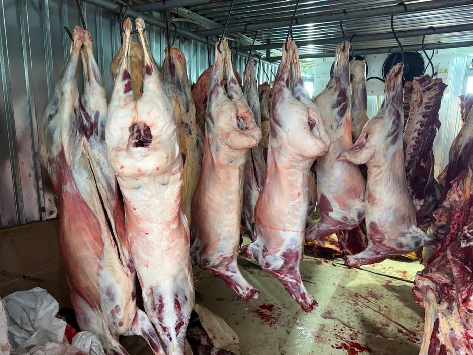 Продам барабанов