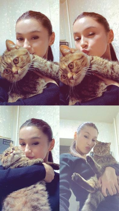 Кошечка ищет дом!