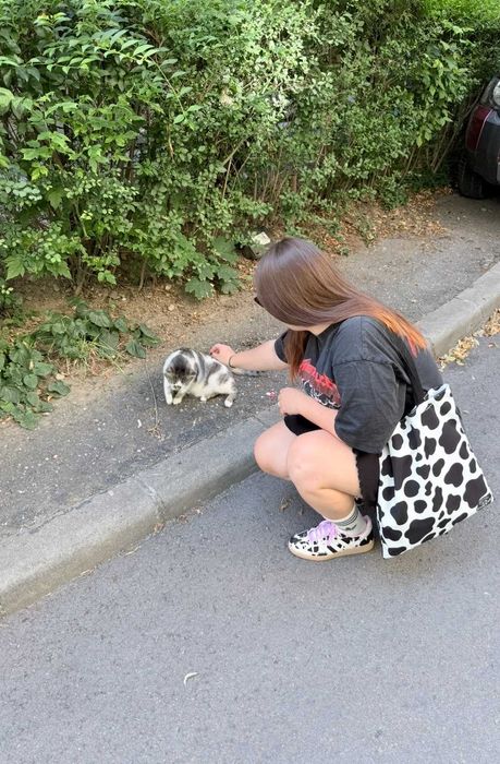 Pet sitter Diana Molnos
