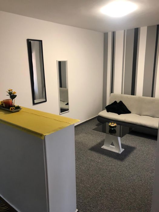 Apartament  studio  zona Unirii