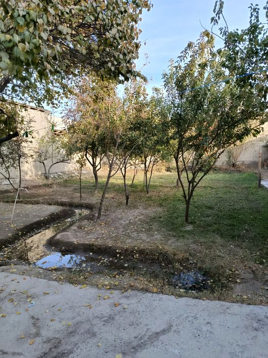 Shofirkon markazidan  8 sotixli xovli sotiladi