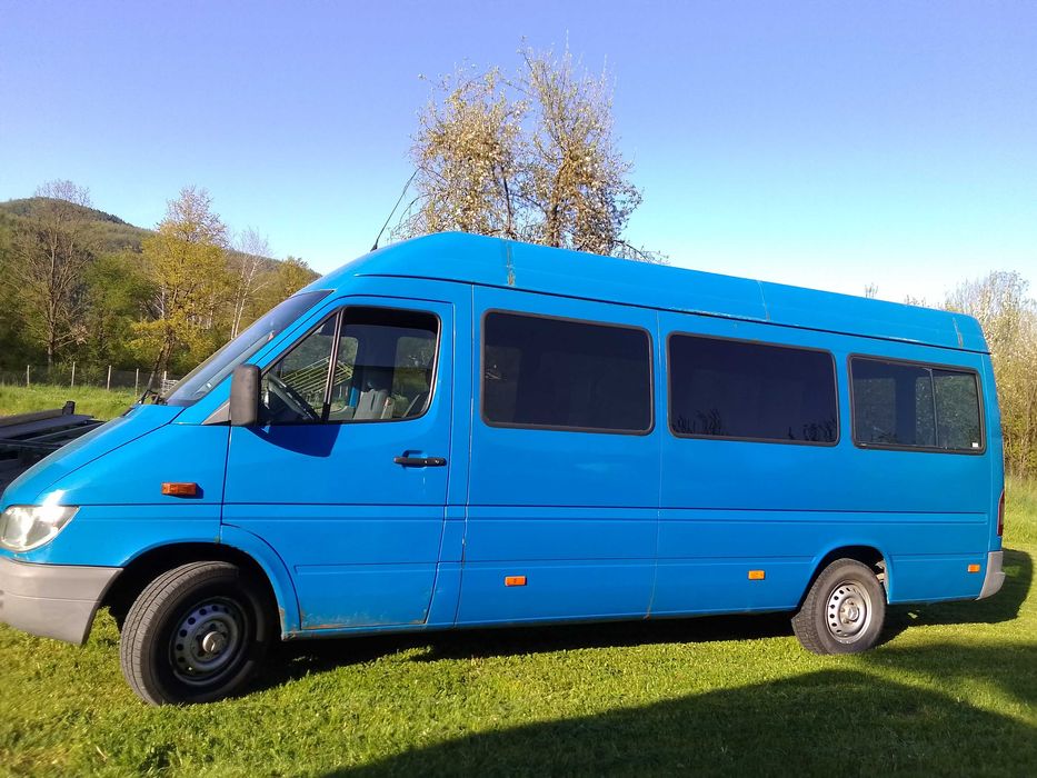 Mercedes Sprinter 313