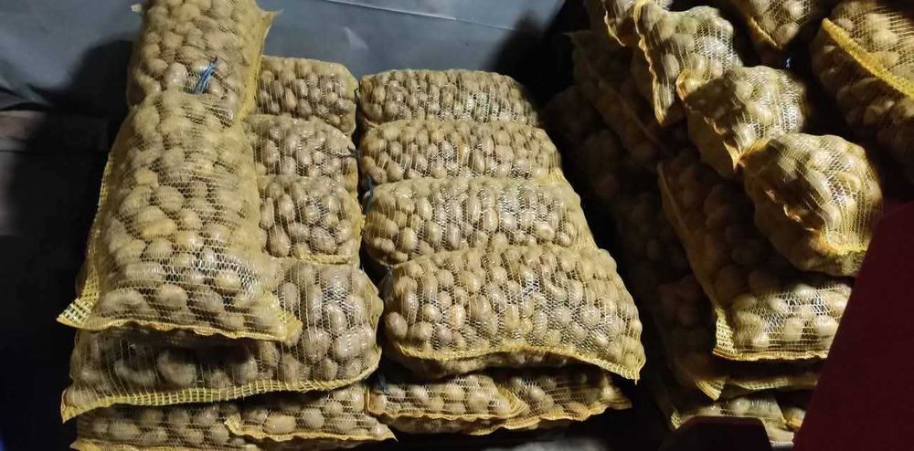 Продавам Картофи, сорт Сорая
