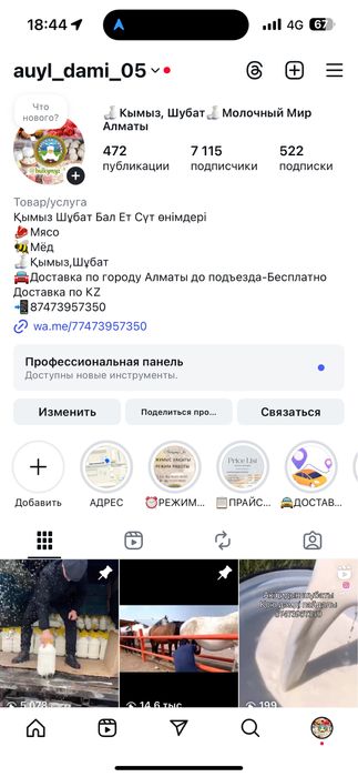 Жылқы еті соғым