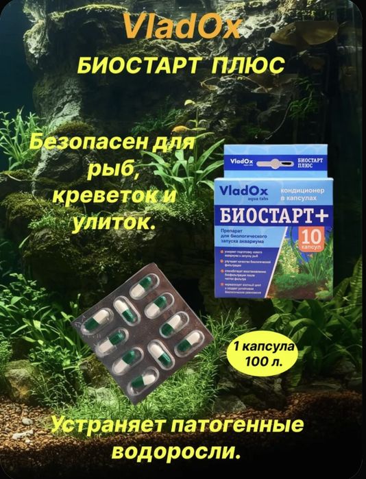 VladOx. Биостарт Плюс. 10 капсул.