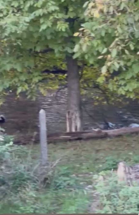 Продава се Къща в Перник, Изток - 60 кв.м за 145 €/кв.м - Снимка #11