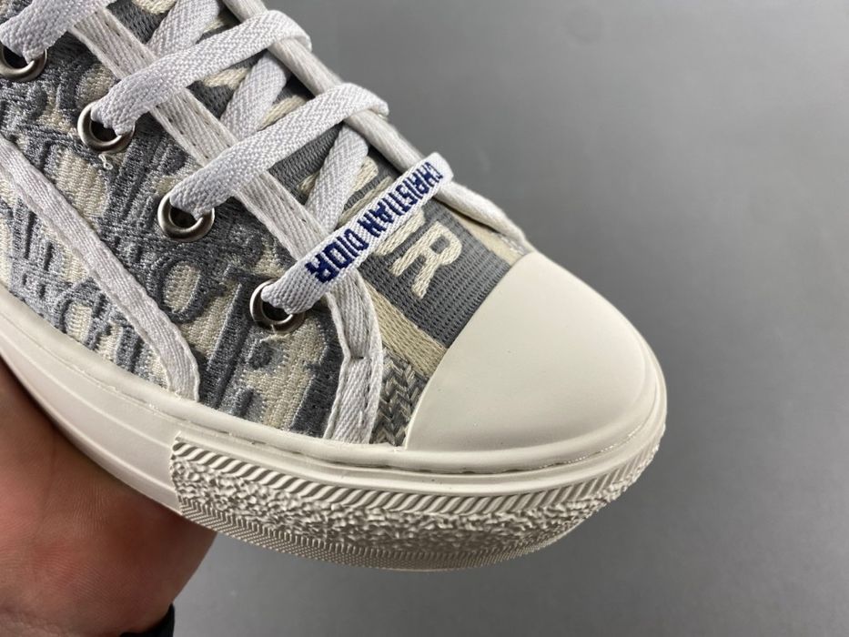 Dior Walk’N’Dior Oblique Canvas