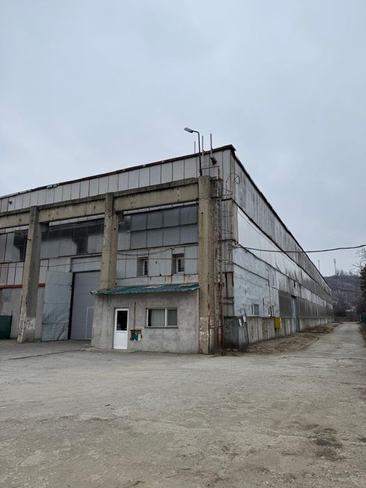 Hala de vanzare sau inchiriere in Filipesti de Padure.