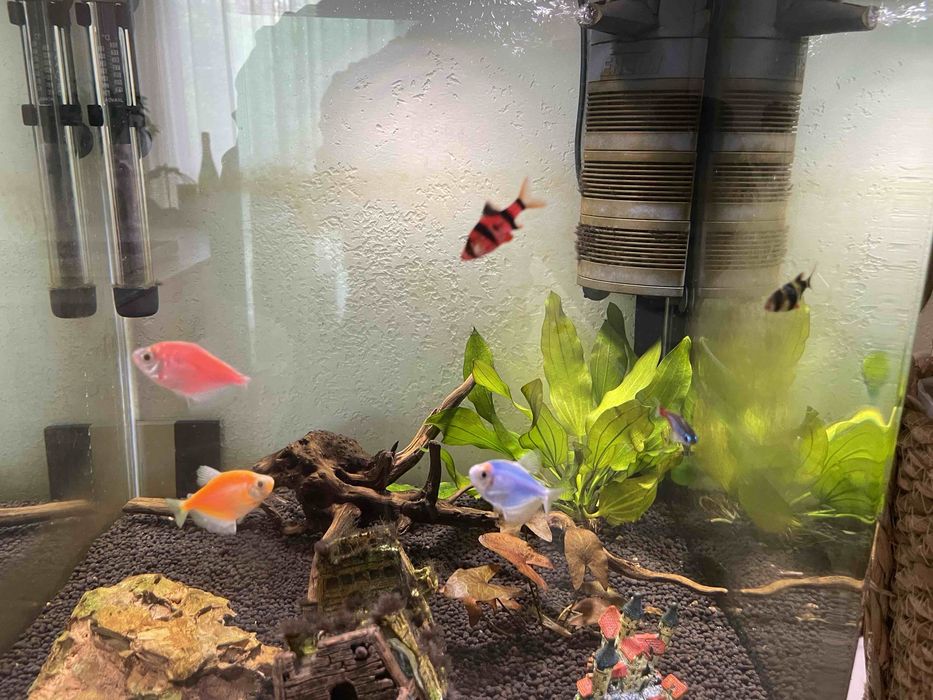 Продавам за аквариум за рибки