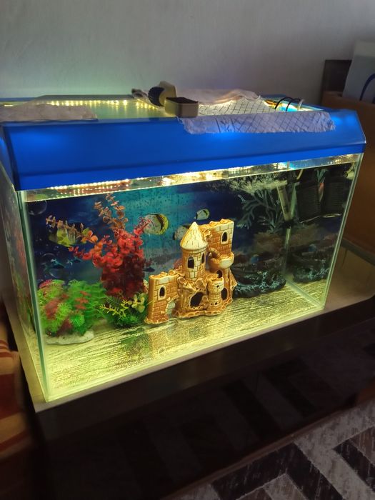 Продаётся аквариум   80 Л...