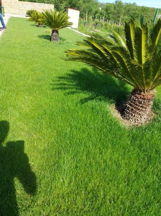 Gazon Rulouri Sisteme de Irigatie