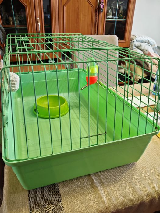 Curscă  rozătoare (Iepure/ Porcușor de Guineea/ Șinșila/ Veveriță)