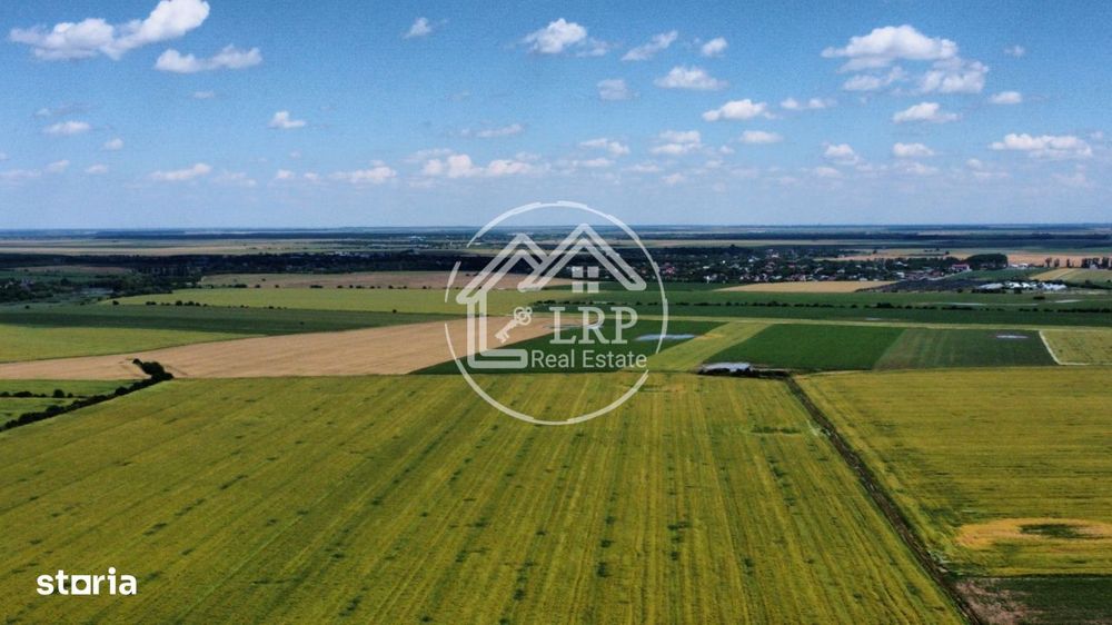 Teren Intravilan 20.000 mp Creata Dascalu, T66– dubla deschidere