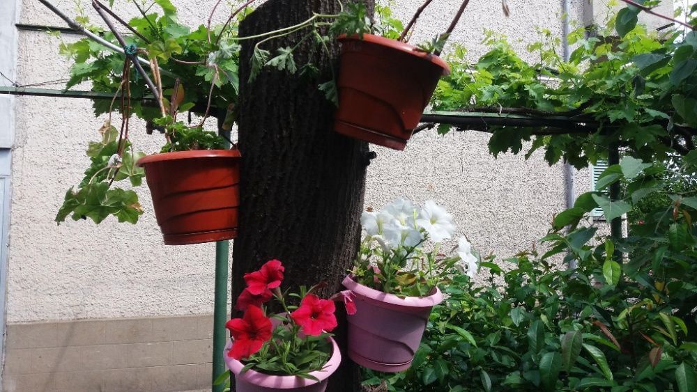 Продава се Къща в Горна Оряховица - 220 кв.м за 441 €/кв.м - Снимка #18