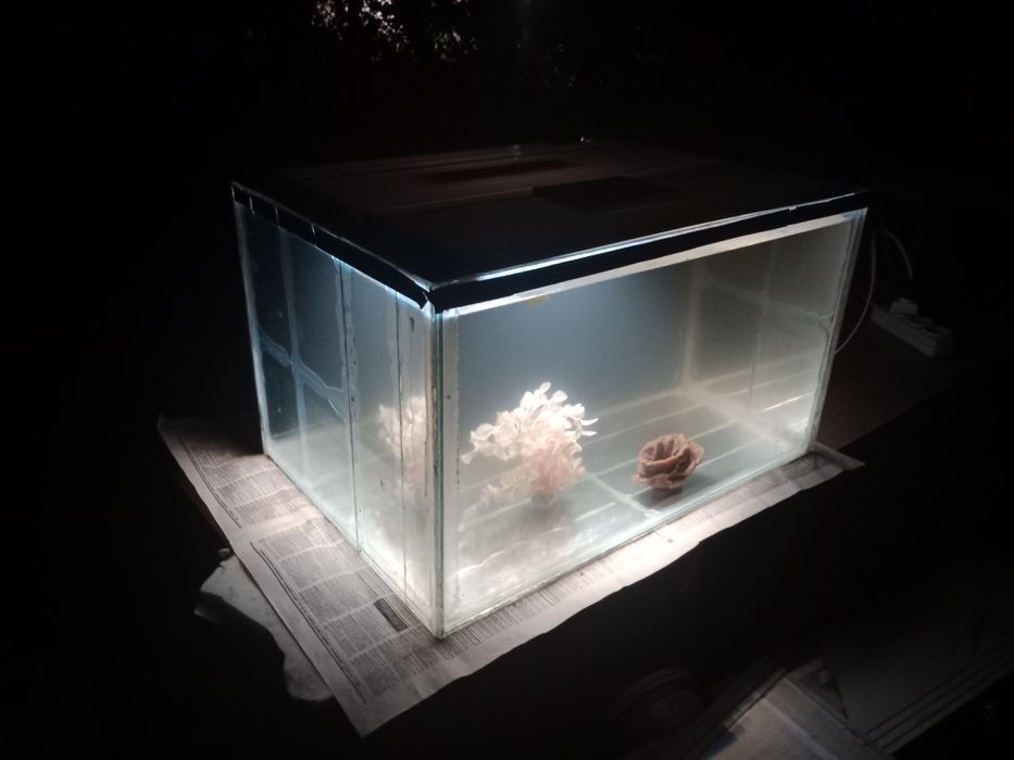 Аквариум 88л + бонусы и рыбки.