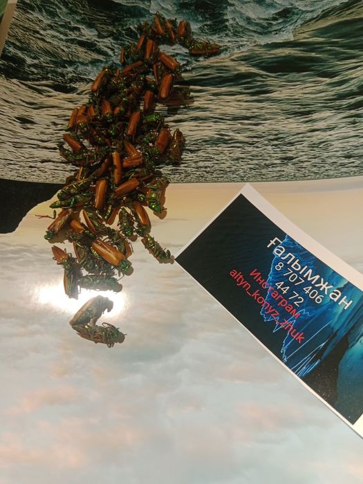 Алтын коныз Майский жүк